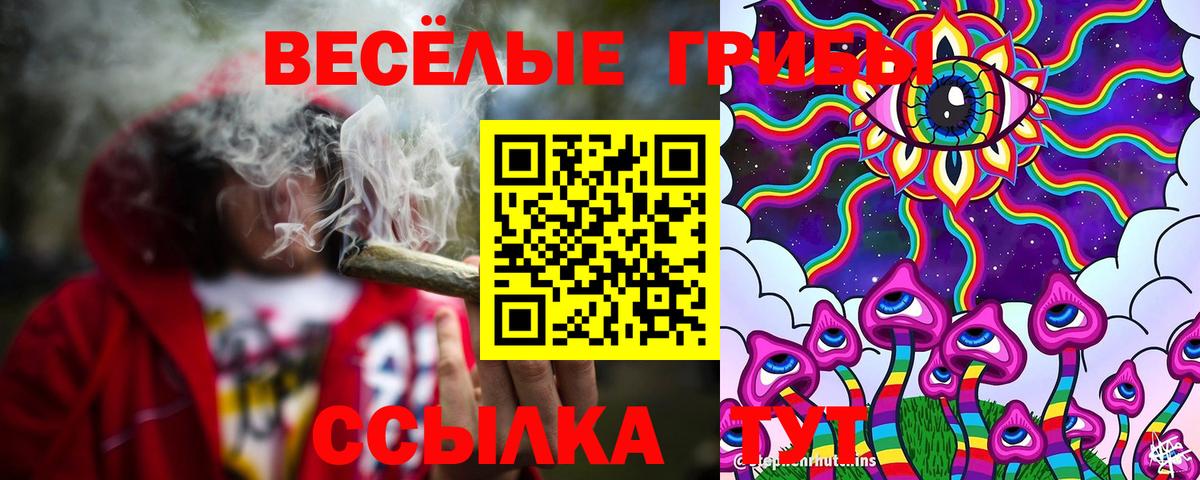 Галлюциногенные грибы GOLDEN TEACHER Шарыпово