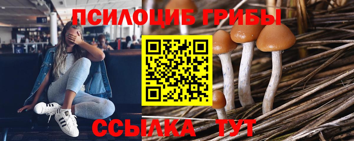 Шарыпово  Псилоцибиновые грибы мухоморы  цены   Вход с VPN  Галлюциногенные грибы Magic Shrooms 
